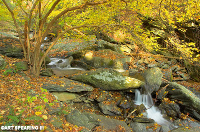 Kelly's Run And Fall Foliage