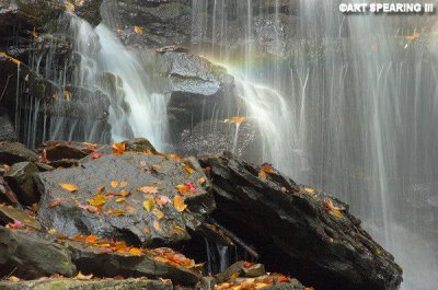 Ricketts Glen #1