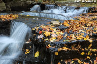 Ricketts Glen #15