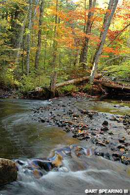 Adirondack Stream In Autumn
