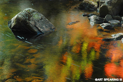 Adirondack Stream Reflection