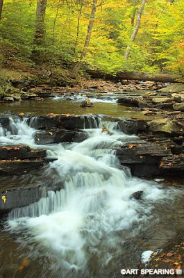 Ricketts Glen #17