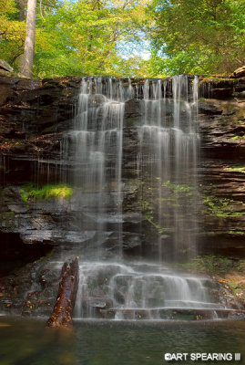 Ricketts Glen #19