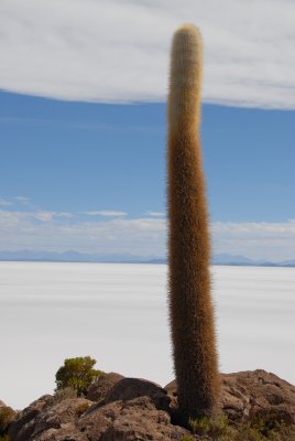 Solar de Uyuni, Bolivia
