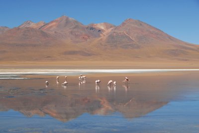 Laguna Canapa, Southwestern Bolivia