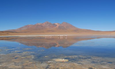 Laguna Canapa, Southwestern Bolivia