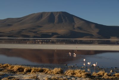 Laguna Khara, Southwestern Bolivia