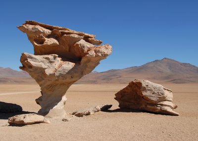 Stone Tree, Southwestern Bolivia