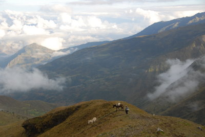 Trekking in the Cordillera Real