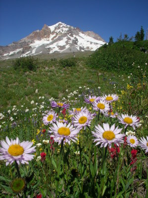 Mount Hood, Oregon