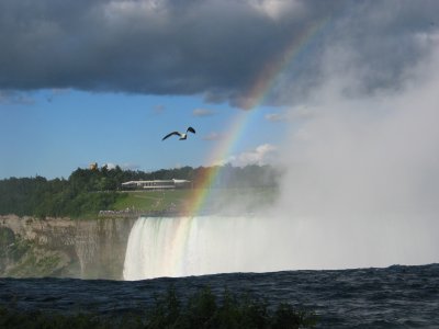 Niagra Falls, from top