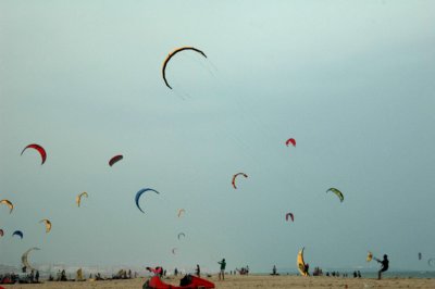 Kites.jpg