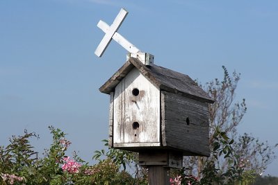 birdchurch.jpg