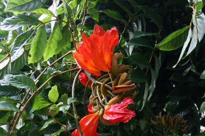 IMG_2773.jpg