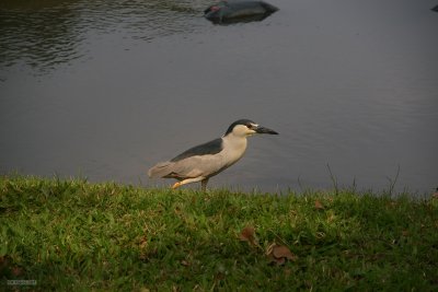 IMG_2839.jpg