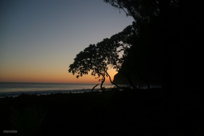 IMG_3018.jpg