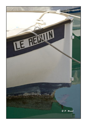 3546 - Le Requin