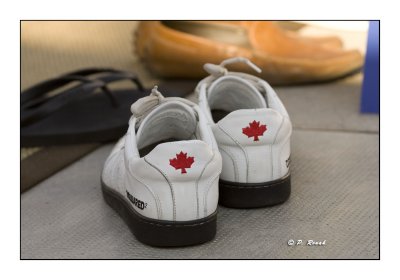 3579 - Canadian shoes