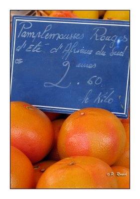 Grapefruits - 0229