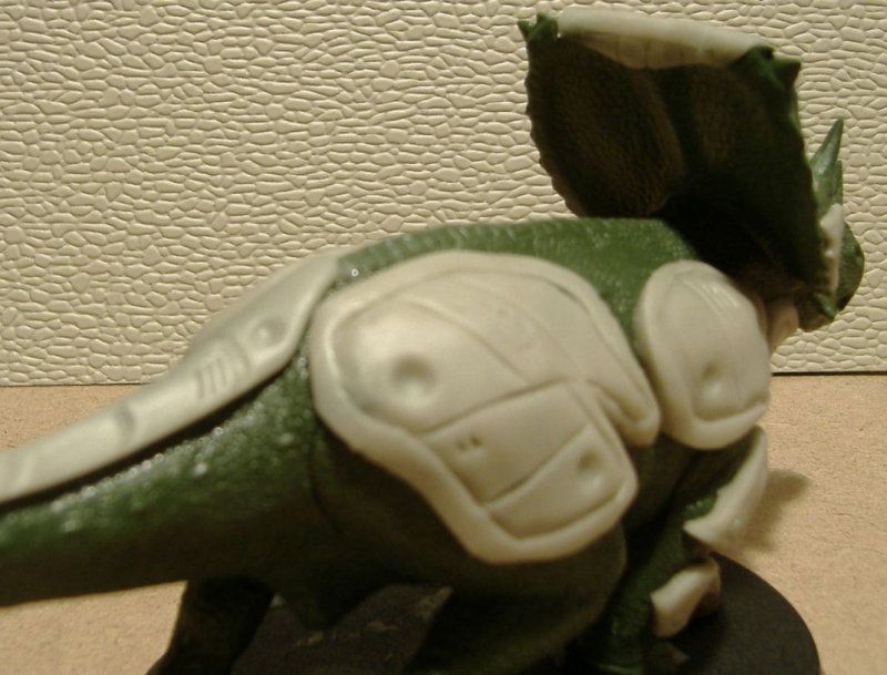2007_0110exodite2a0006.JPG