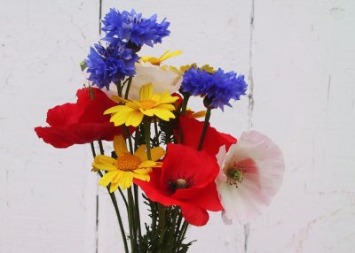 primary-colours.jpg