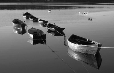 boats