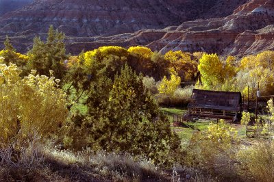 _DSC6430.jpg