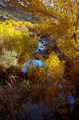 _DSC6445.jpg