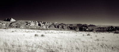 DSC_0137.jpg