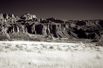 DSC_0138.jpg