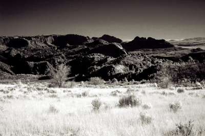 DSC_0146.jpg