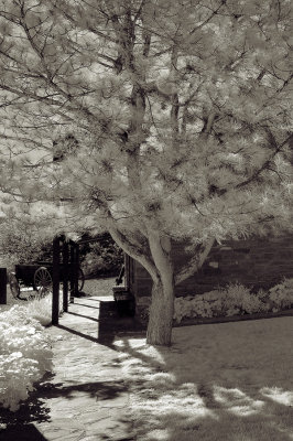 Walkway to Jacob Hamblin House