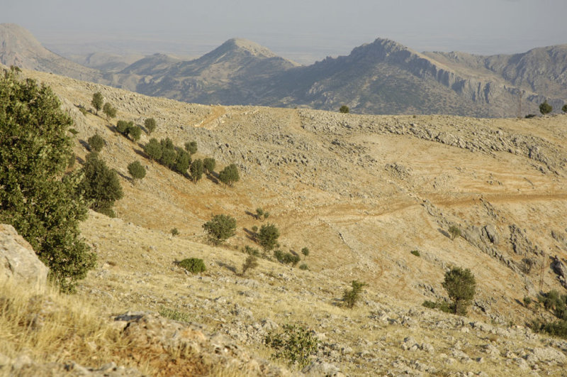 Nemrut 2006 09 1373.jpg