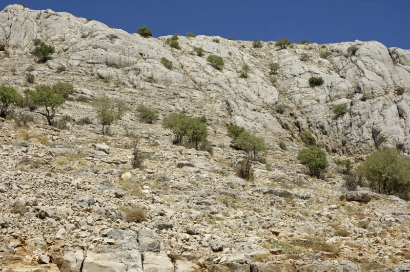 Nemrut 2006 09 1410.jpg