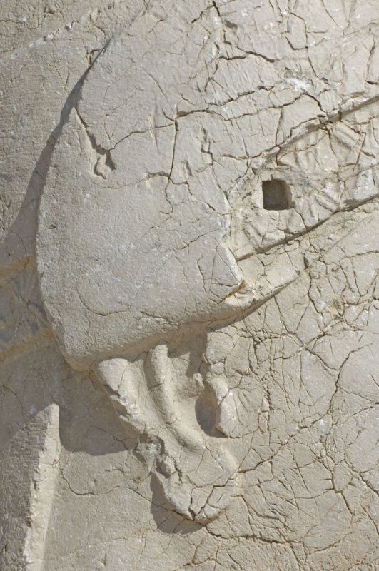 Nemrut 2006 09 1555.jpg