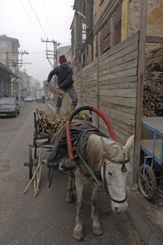 Edirne dec 2006 0023.jpg