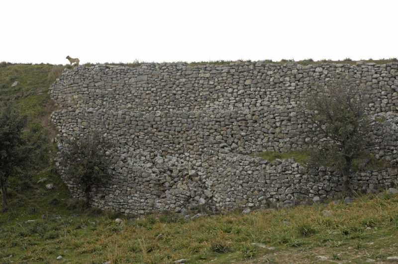 Priene 2007 4176.jpg