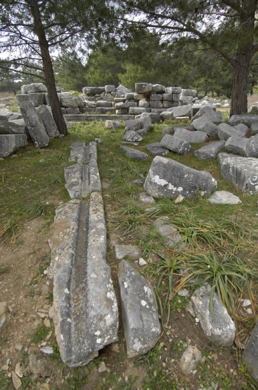 Priene 2007 4189.jpg
