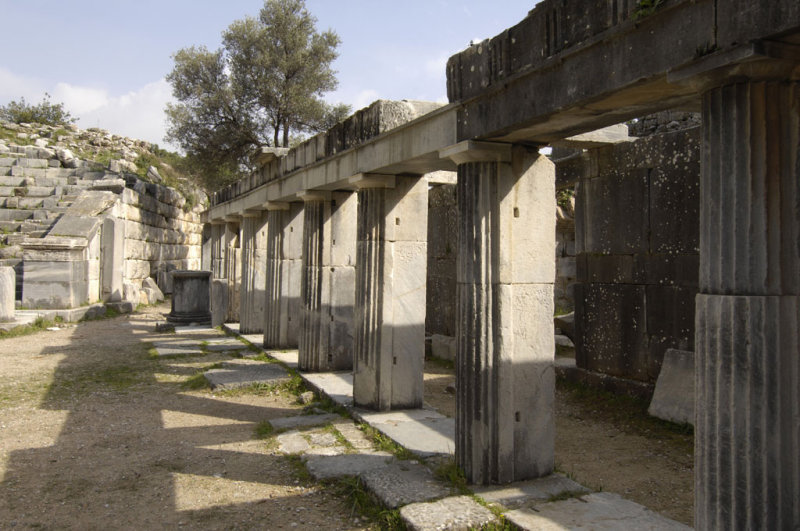 Priene 2007 4206.jpg