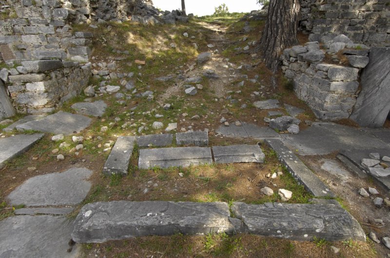 Priene 2007 4225.jpg