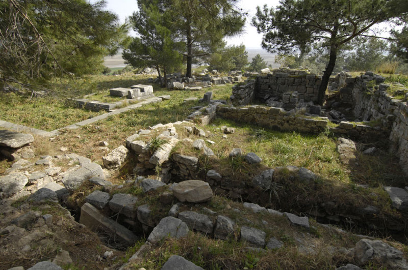 Priene 2007 4230.jpg