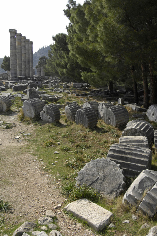 Priene 2007 4242.jpg