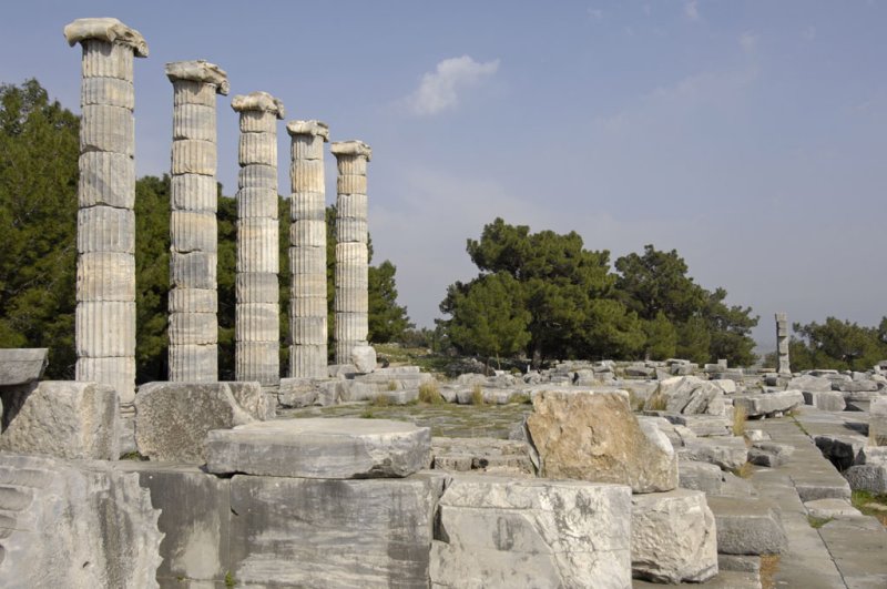 Priene 2007 4253.jpg