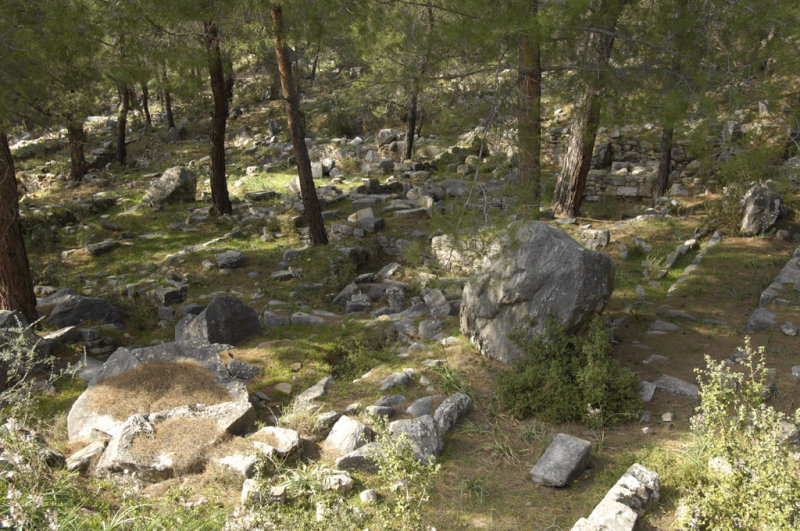 Priene 2007 4266.jpg