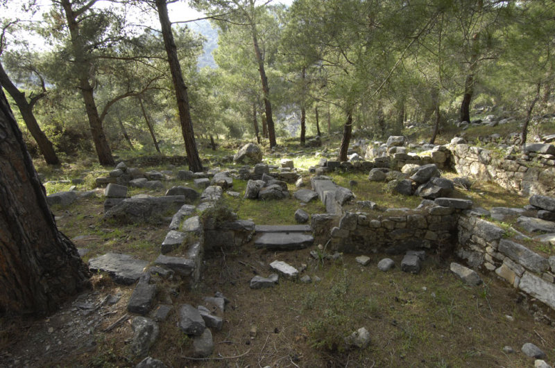 Priene 2007 4267.jpg