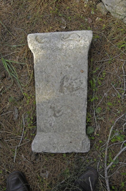Priene 2007 4268.jpg