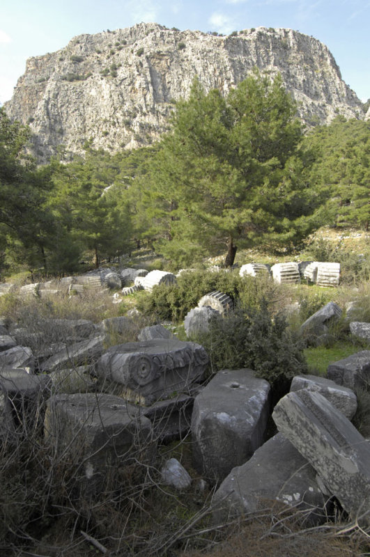 Priene 2007 4277.jpg