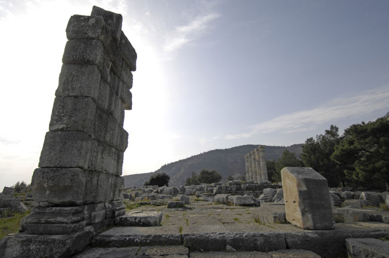 Priene 2007 4306b.jpg
