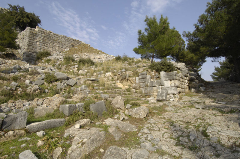 Priene 2007 4316.jpg