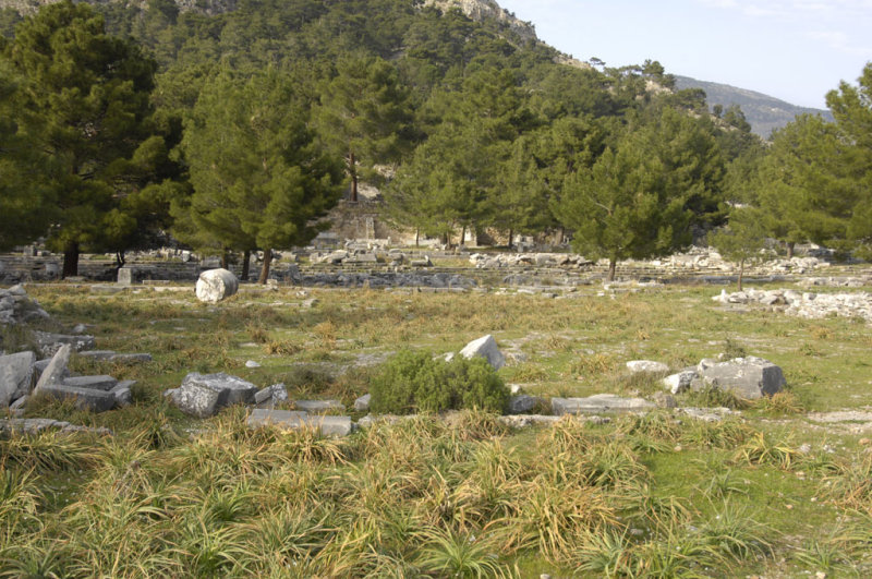 Priene 2007 4330.jpg